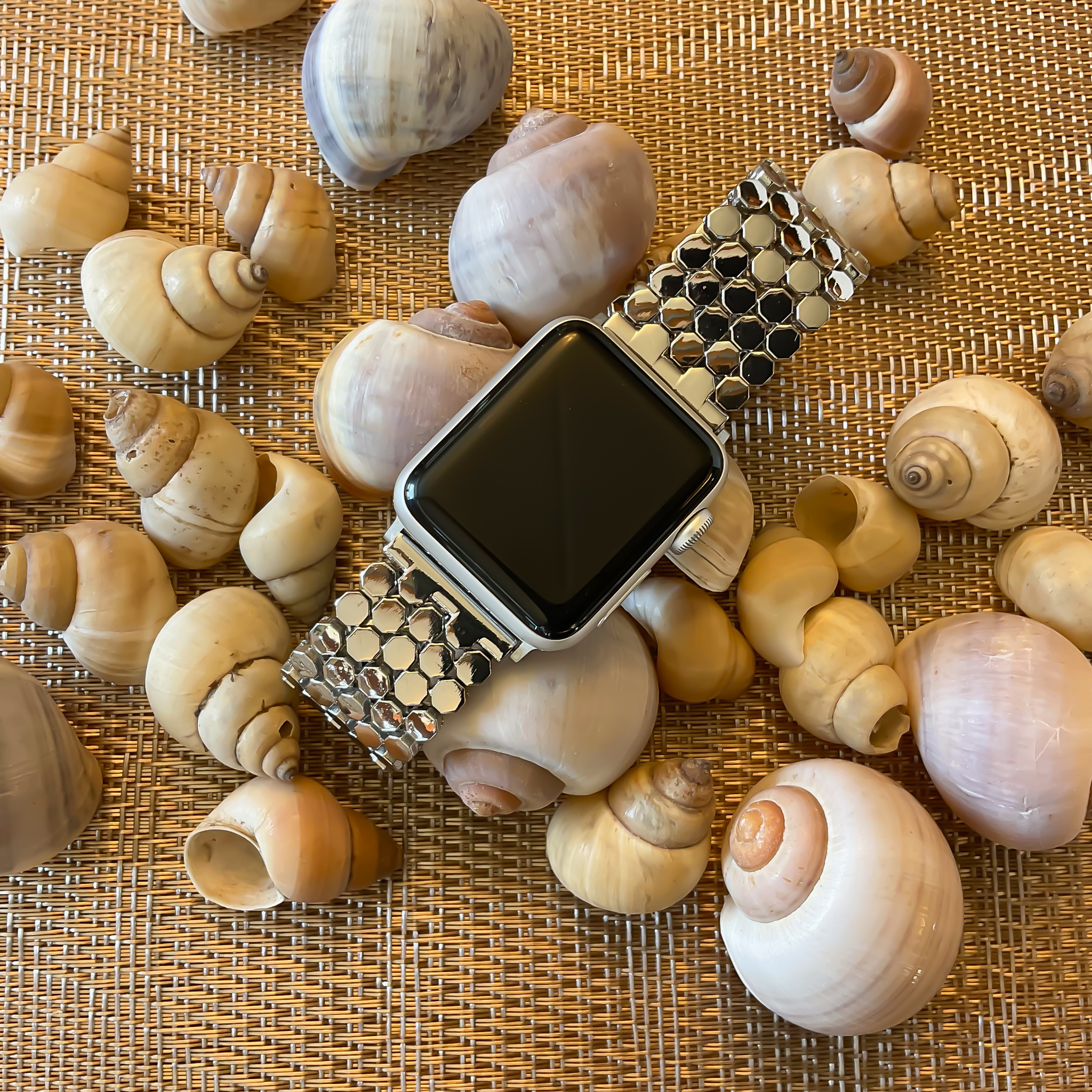 Apple Watch vis stalen schakel band - zilver